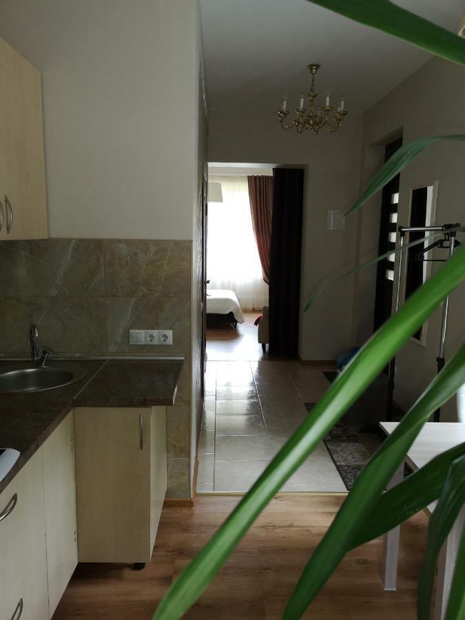 Jaukus Butas Siauliu Miesto Centre Apartment Siauliai  Luaran gambar