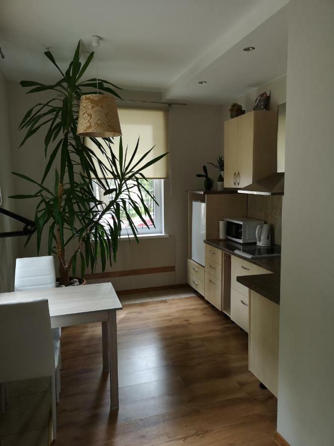 Jaukus Butas Siauliu Miesto Centre Apartment Siauliai  Luaran gambar