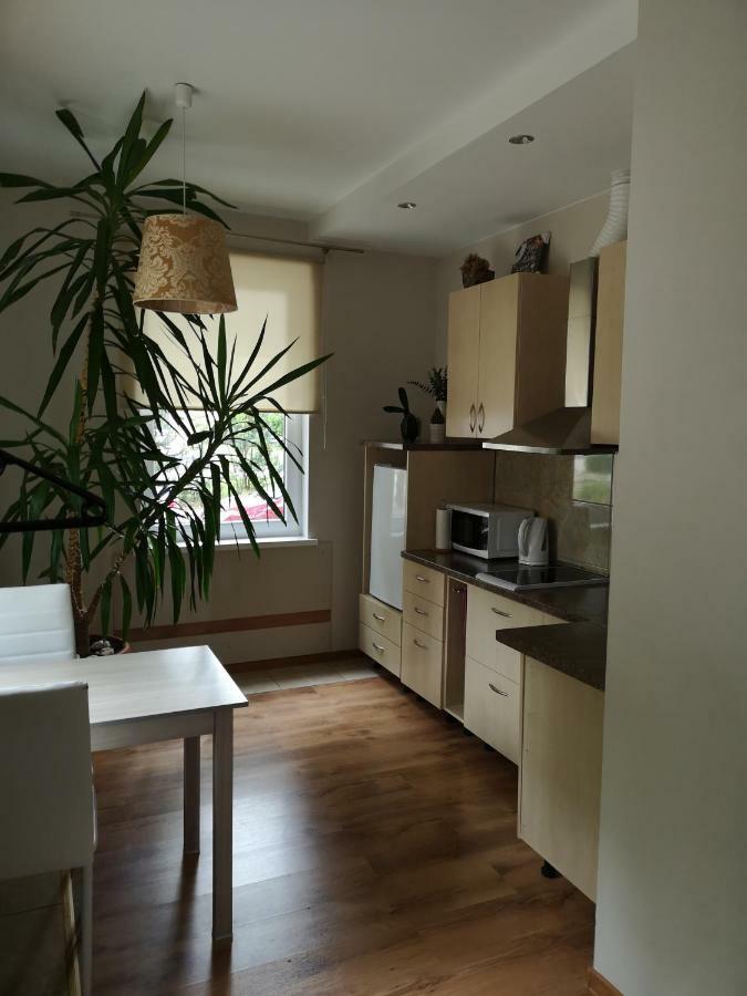 Jaukus Butas Siauliu Miesto Centre Apartment Siauliai  Luaran gambar
